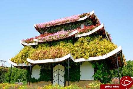 اخبارگوناگون,خبرهای گوناگون,باغ معجزه