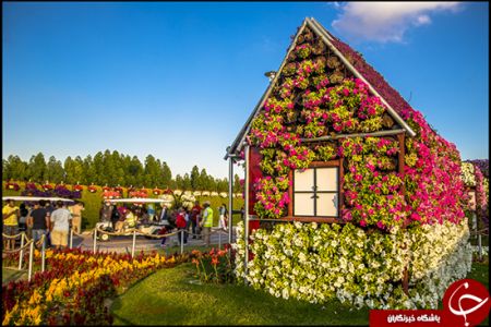 اخبارگوناگون,خبرهای گوناگون,باغ معجزه