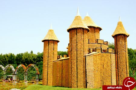 اخبارگوناگون,خبرهای گوناگون,باغ معجزه