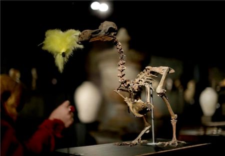 اخبارجدید,خبرهای جدید,اخبارجدید