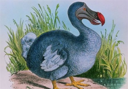 اخبارجدید,خبرهای جدید,اخبارجدید