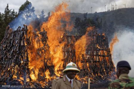 اخبارگوناگون,خبرهای گوناگون,کنیا 