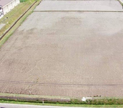 اخبار,اخبارگوناگون, مزارع برنج در ژاپن