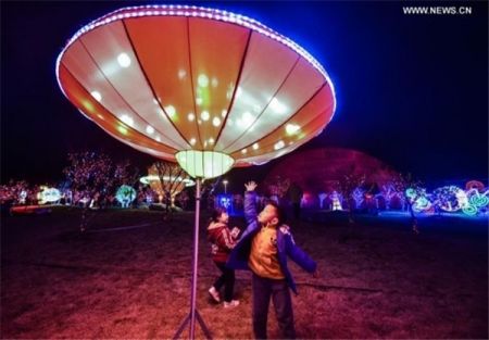 اخبار,اخبارگوناگون, نمایشگاه نور در استان چجیانگ