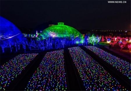 اخبار,اخبارگوناگون, نمایشگاه نور در استان چجیانگ