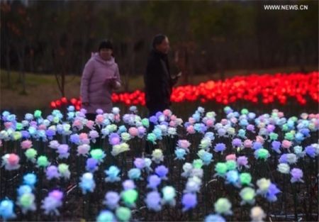 اخبار,اخبارگوناگون, نمایشگاه نور در استان چجیانگ