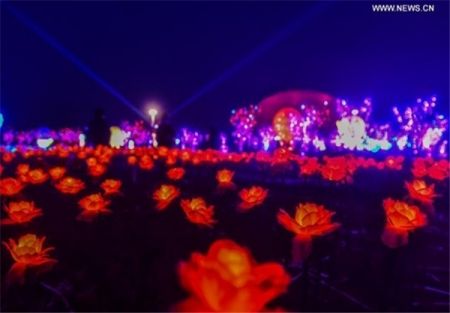 اخبار,اخبارگوناگون, نمایشگاه نور در استان چجیانگ