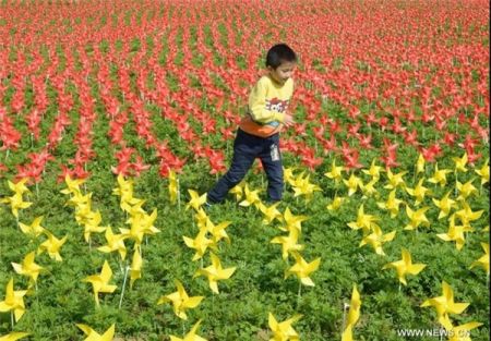 اخبار,اخبار گوناگون,فرفره رنگی اخبار,اخبار گوناگون,فرفره رنگی