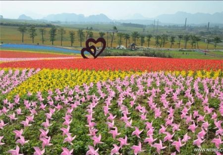 اخبار,اخبار گوناگون,فرفره رنگی اخبار,اخبار گوناگون,فرفره رنگی