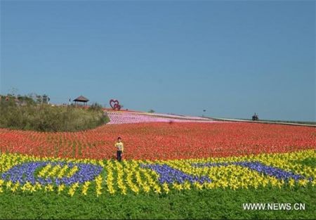 اخبار,اخبار گوناگون,فرفره رنگی اخبار,اخبار گوناگون,فرفره رنگی
