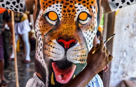 اخبار,اخبار گوناگون,جشنواره ببرهای رقصان