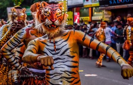 اخبار,اخبار گوناگون,جشنواره ببرهای رقصان