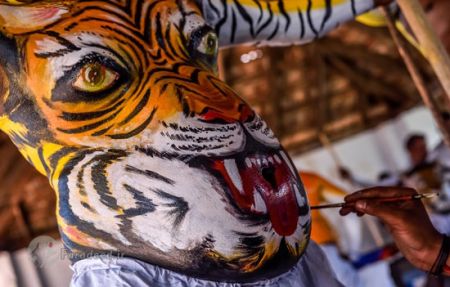 اخبار,اخبار گوناگون,جشنواره ببرهای رقصان