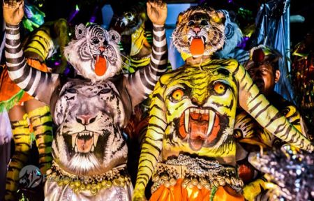 اخبار,اخبار گوناگون,جشنواره ببرهای رقصان