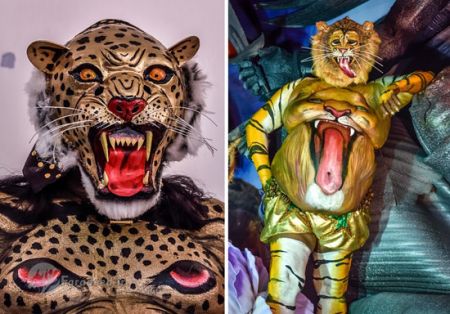 اخبار,اخبار گوناگون,جشنواره ببرهای رقصان