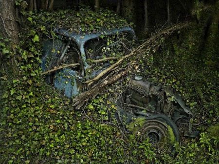 اخبار,اخبارگوناگون,پارکینگ بهشت