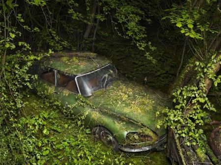 اخبار,اخبارگوناگون,پارکینگ بهشت