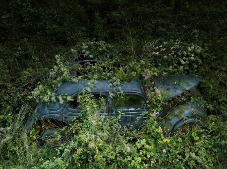 اخبار,اخبارگوناگون,پارکینگ بهشت