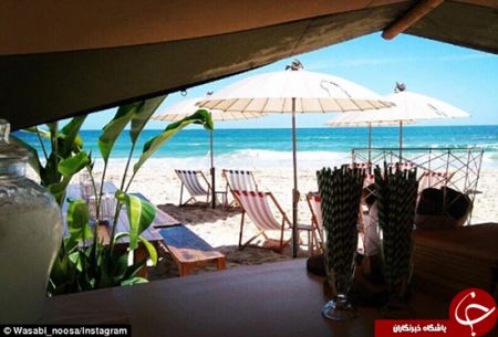 اخبارگوناگون,خبرهای گوناگون,استرالیا