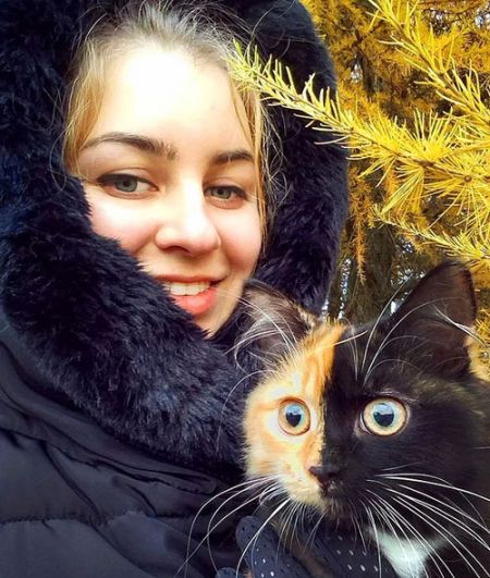 اخبارگوناگون,خبرهای گوناگون,گربه جذاب