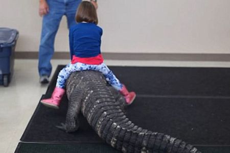 اخبارگوناگون,خبرهای گوناگون,ترسناک ترین جشن تولد