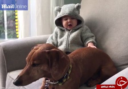 اخبارگوناگون,خبرهای گوناگون,سگ