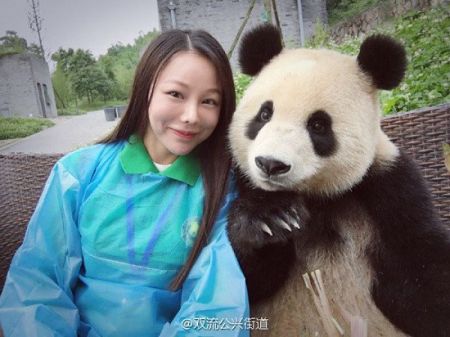 اخبارگوناگون,خبرهای گوناگون,پاندا