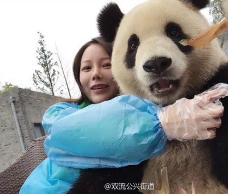 اخبارگوناگون,خبرهای گوناگون,پاندا