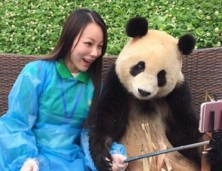 اخبارگوناگون,خبرهای گوناگون,پاندا