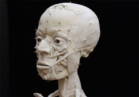 اخبارگوناگون,خبرهای گوناگون,بازسازی چهره