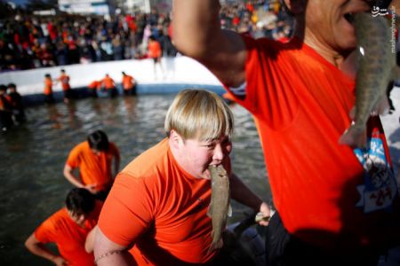 اخبارگوناگون,خبرهای گوناگون,کره جنوبی