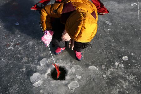 اخبارگوناگون,خبرهای گوناگون,کره جنوبی