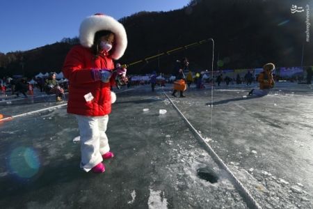 اخبارگوناگون,خبرهای گوناگون,کره جنوبی
