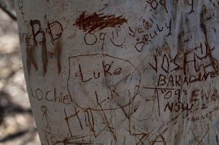 اخبارجدید,خبرهای جدید,اخبارجدید