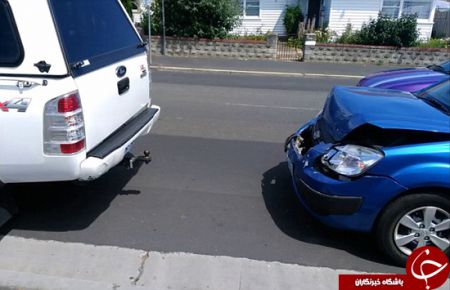 اخبارگوناگون,خبرهای گوناگون,مرغ