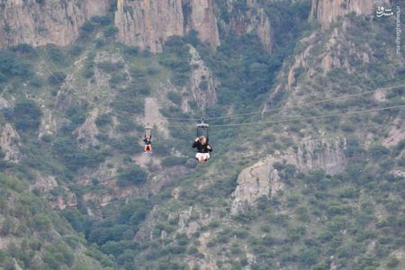 اخبارگوناگون,خبرهای گوناگون,آمریکای شمالی