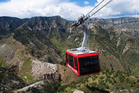 اخبارگوناگون,خبرهای گوناگون,آمریکای شمالی