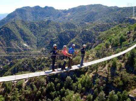 اخبارگوناگون,خبرهای گوناگون,آمریکای شمالی