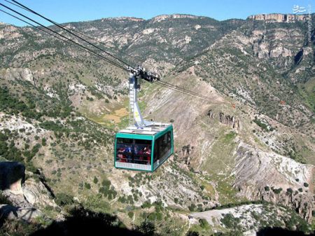 اخبارگوناگون,خبرهای گوناگون,آمریکای شمالی