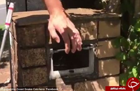 اخبارگوناگون,خبرهای گوناگون,بسته مرگبار کریسمس