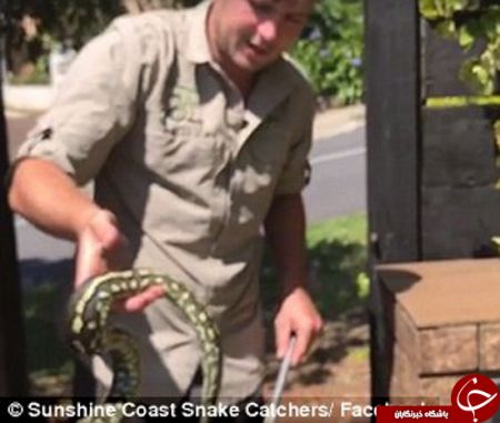 اخبارگوناگون,خبرهای گوناگون,بسته مرگبار کریسمس