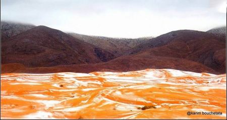 اخبارگوناگون,خبرهای گوناگون,بارش برف "اخبارگوناگون,خبرهای