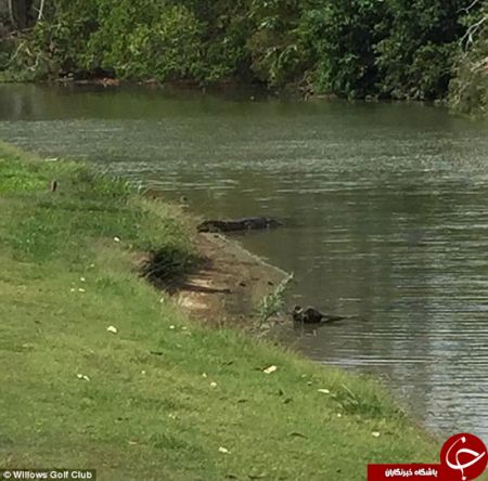 اخبارگوناگون,خبرهای گوناگون,خطرناک‌ترین زمین گلف