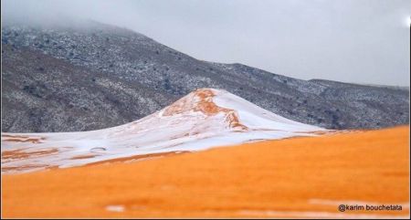 اخبارگوناگون,خبرهای گوناگون,بارش برف "اخبارگوناگون,خبرهای