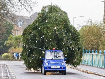 اخبارگوناگون,خبرهای گوناگون,جشن سال نو میلادی اخبارگوناگون,خبرهای گوناگون,جشن سال نو میلادی