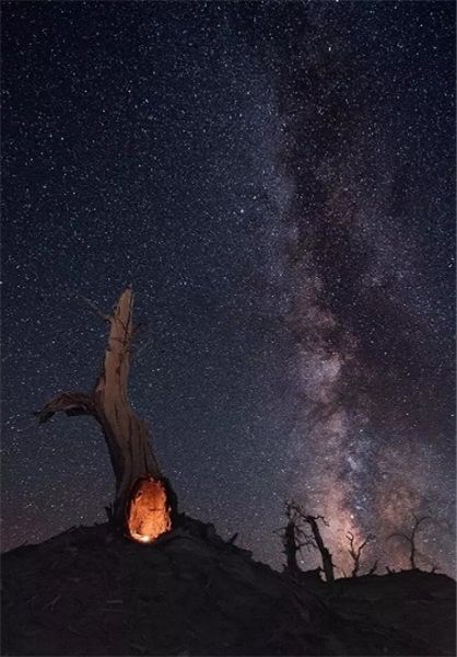 اخبارگوناگون,خبرهای گوناگون,چین