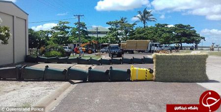 اخبارگوناگون,خبرهای گوناگون,کروکودیل