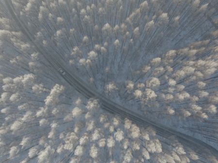   اخبارگوناگون,خبرهای  گوناگون ,جاده‌ای زیبا