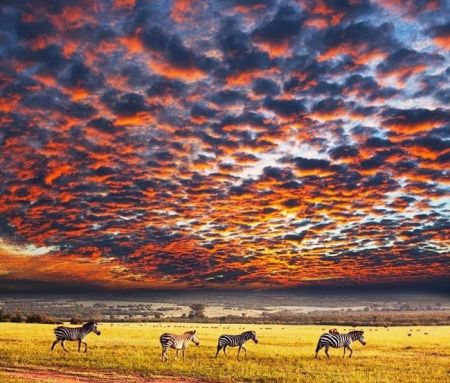   اخبار گوناگون  ,خبرهای  گوناگون ,پارک ملی