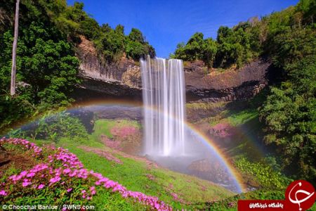   اخبار گوناگون ,خبرهای  گوناگون ,گنج پای رنگین‌کمان